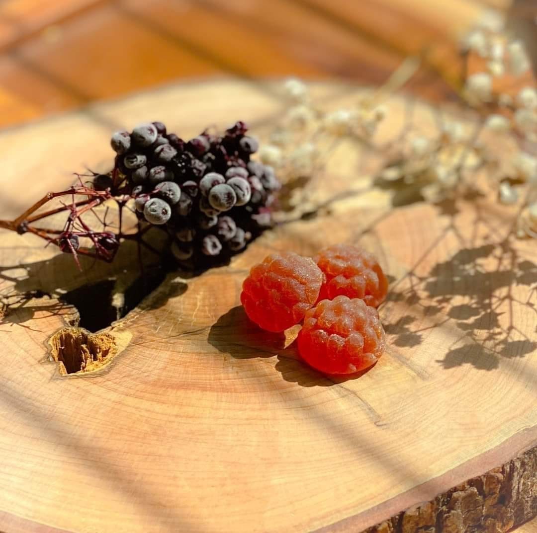 Elderberry Gummies